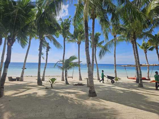 rodina L., Trebišov