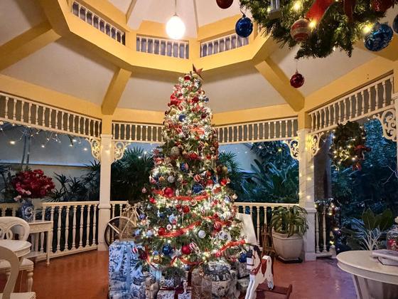 Jana F. & Eva F., Bratislava