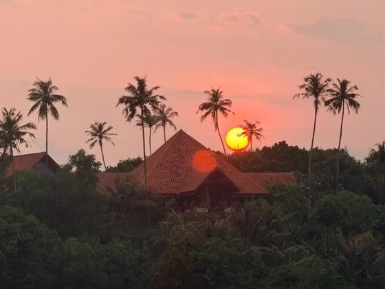 manželia M., Bratislava