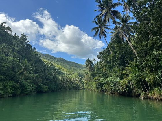 manželia S., Levice
